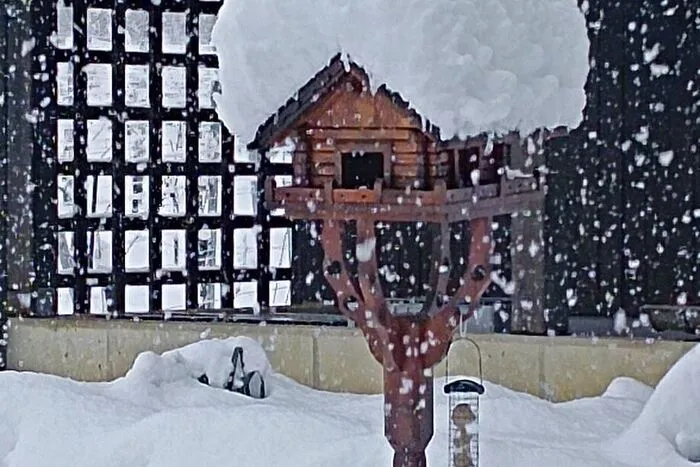Eine ordentliche Schneehaube hat bereits das Vogelhäuschen von Monika Binder in Gamlitz