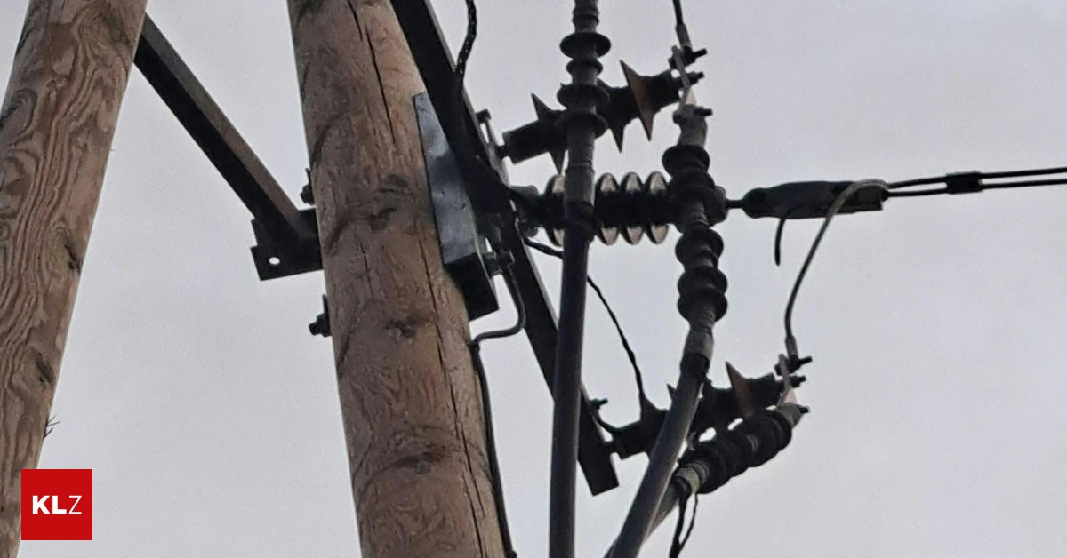 Nahe-Graz-Polizisten-verhinderten-Waldbrand