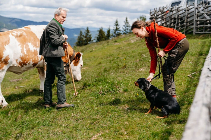 Gutes Gespann: Die Almbäuerin Melanie Affenberger folgt Rudi Grabner in der Landwirtschaftskammer als Rinder-Expertin nach