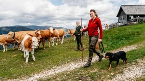 Melanie Affenberger und Rudi Grabner zeigen vor, wie man Kühen mit Hund begegnen sollte