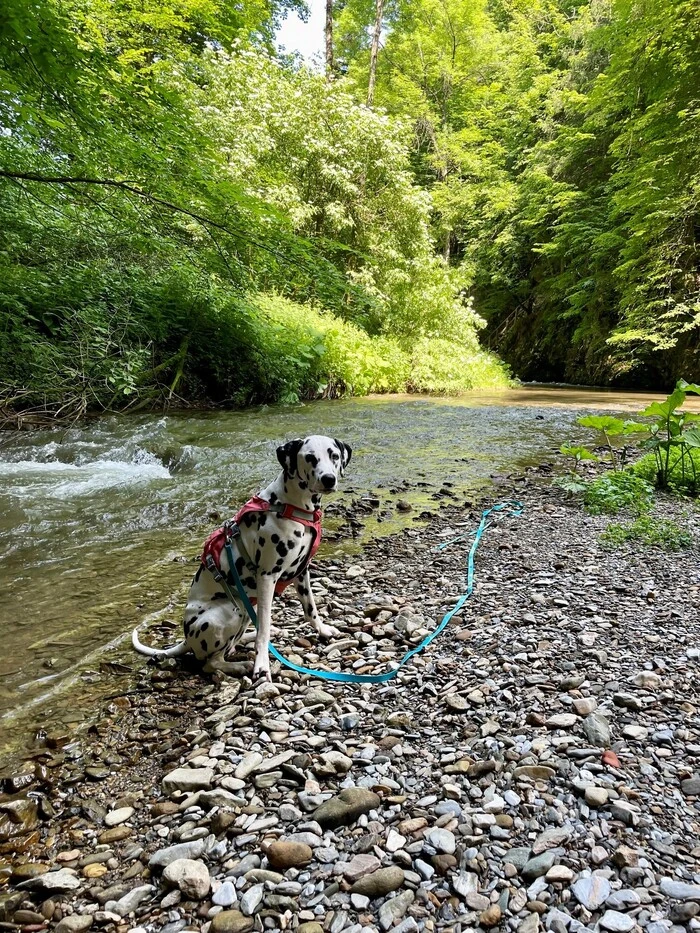 In der Raabklamm