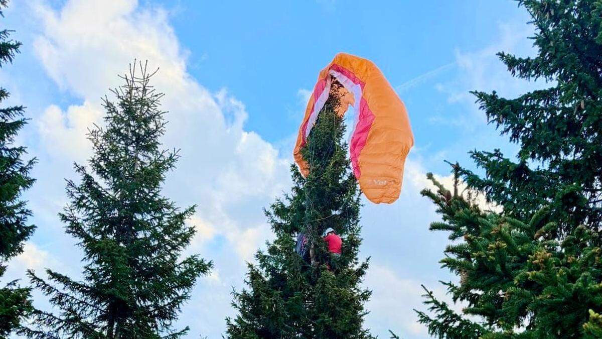 Schirm blieb in Fichte hängen