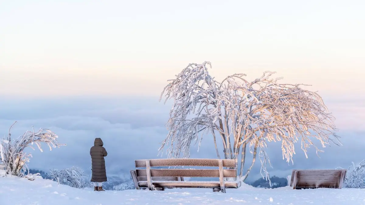 Wintermorgen im Hochtaunus Die Höhenlagen im Taunus rund um den Großen Feldberg zeigen sich am Morgen bei Sonnenaufgang tief winterlich während im Tal Nebel liegt., Schmitten Hessen Deutschland *** Winter morning in the Hochtaunus The high altitudes in the Taunus mountains around the Großer Feldberg mountain are deep in winter at sunrise, while the valley is covered in fog , Schmitten Hessen Germany