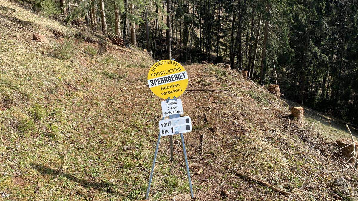 In Stallhofen ereignete sich ein Forstunfall (Archivfoto)