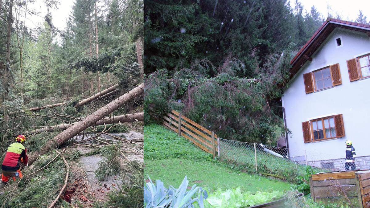 Zahlreiche Bäume stürzten um, in Gallmannsegg fiel ein Baum auf das Dach eines Wohnhauses (rechts)