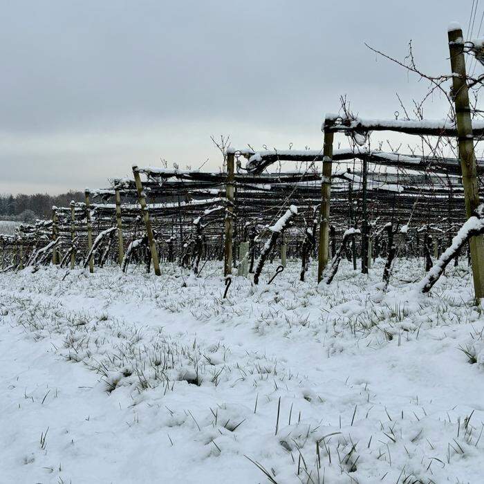 Vor allem im Süden ist etwas Schnee zusammengekommen