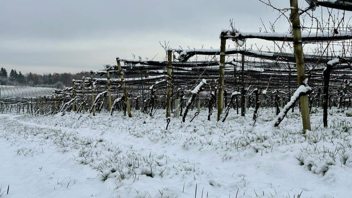 Vor allem im Süden ist etwas Schnee zusammengekommen