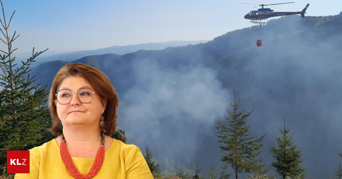 Waldbrand-in-Eisbach-Rein-B-rgermeisterin-Was-hier-geleistet-wird-ist-unglaublich-