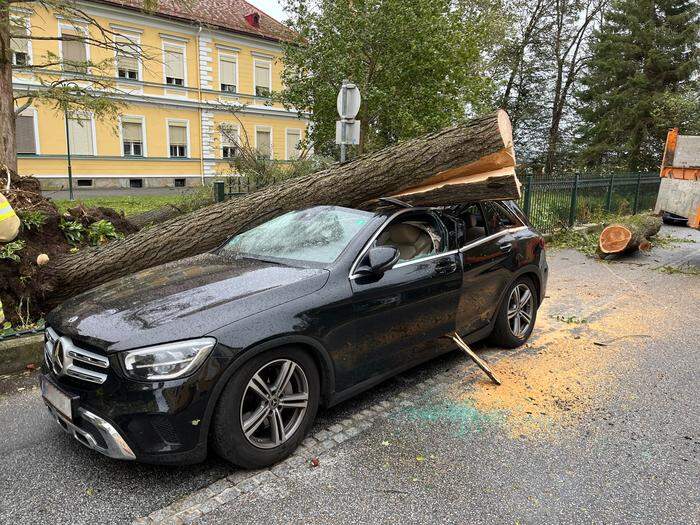 Sturm fegte Baum auf Pkw