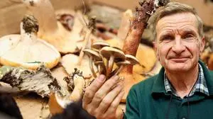 Trotz des relativ kühlen Wetters sprießen die Schwammerl, das Interesse an der Pilzberatung ist groß.