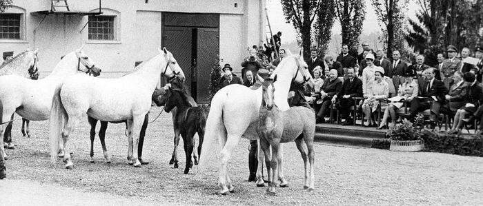 Die Queen in der Steiermark - waren Sie dort oder bei anderen wichtigen Ereignissen dabei? Dann schreiben Sie uns bitte!