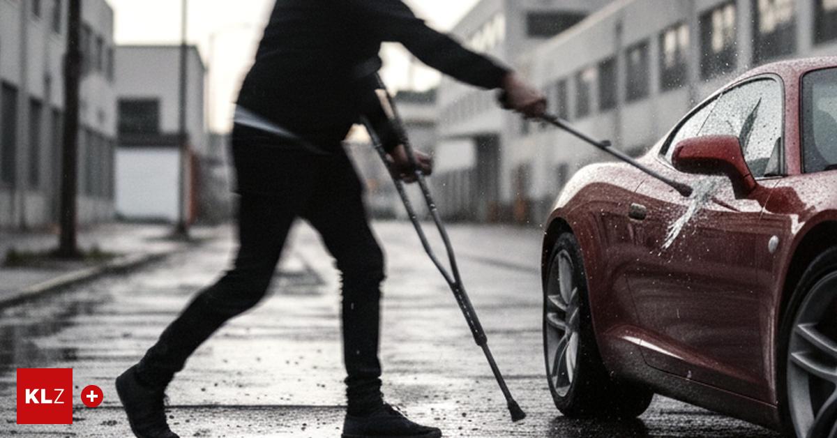 ziel-verfehlt-ich-war-ein-volldodel-frau-attackierte-mit-ihren-kr-cken-auto-einer-polizistin