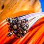 glass fibre cable on a drum - closeup