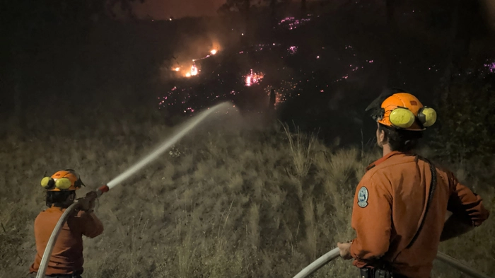 Die kanadische Feuerwehr im Einsatz gegen die verheerenden Brände
