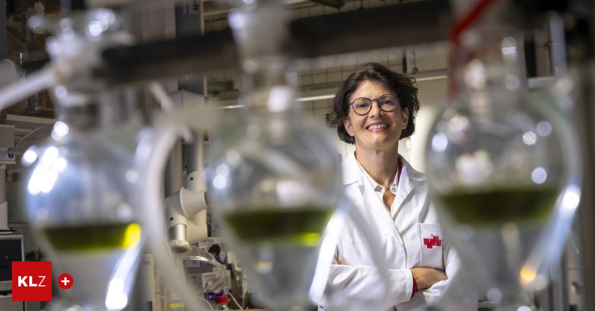 Nachhaltiger-Treibstoff-Wenn-die-Reste-der-Tomaten-fliegen-lernen