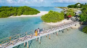 RECORD DATE NOT STATED  An aerial view of a couple walking on a wooden bridge over turquoise water in Thulusdhoo, Maldives 25158367