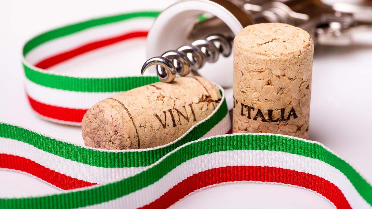 Ernteausfälle setzen auch italienischen Weinbauern zu