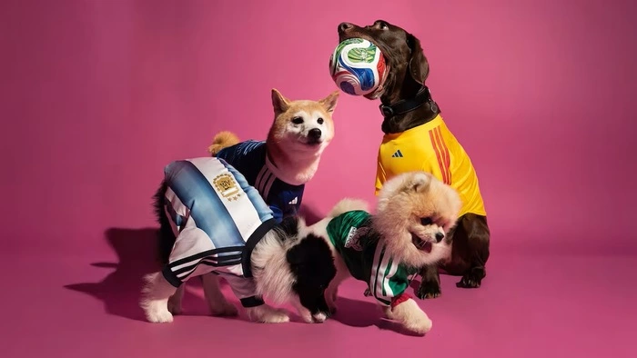 Hunde-Trikots von Adidas