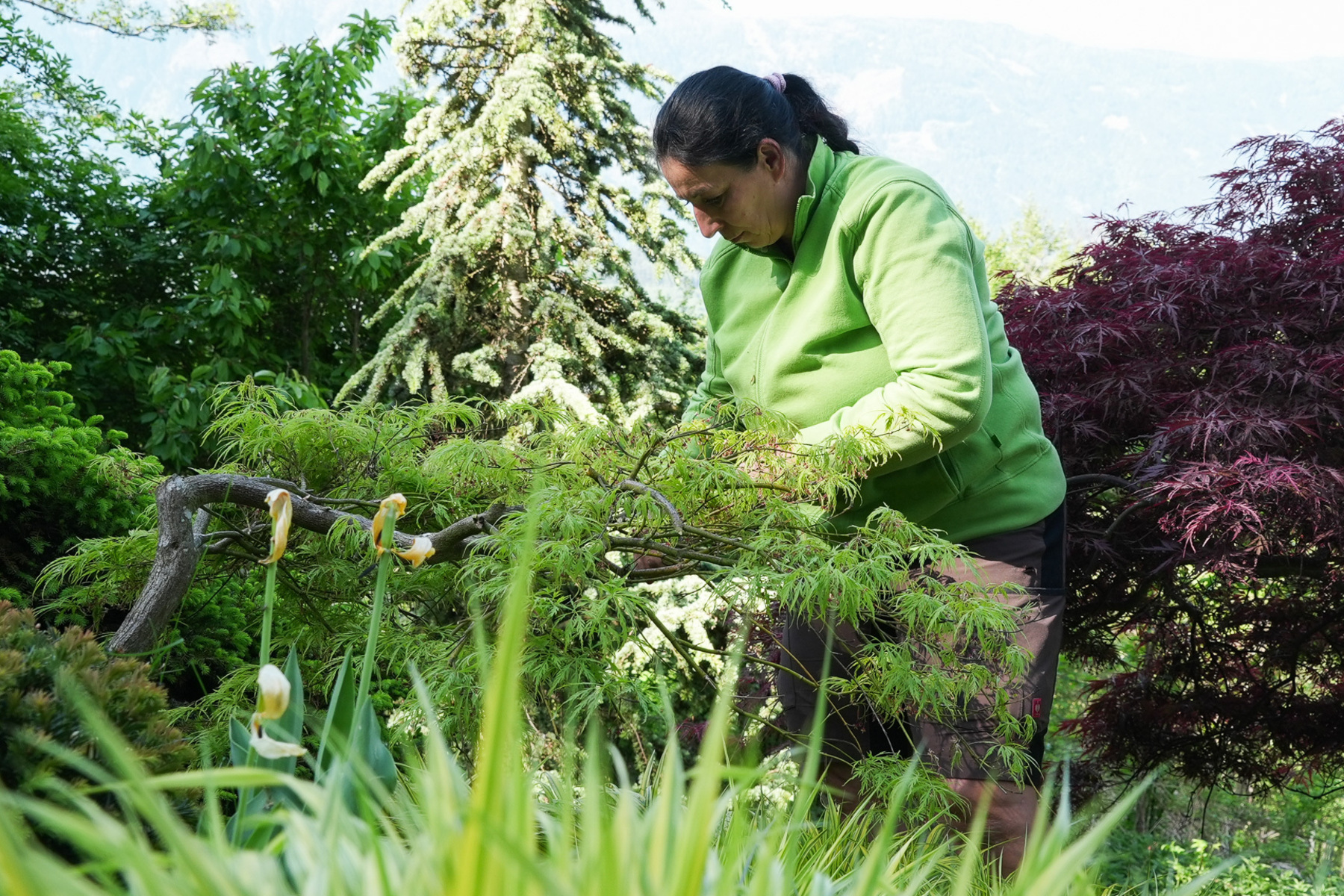Gartengestaltung: Die grüne Branche wächst über sich hinaus