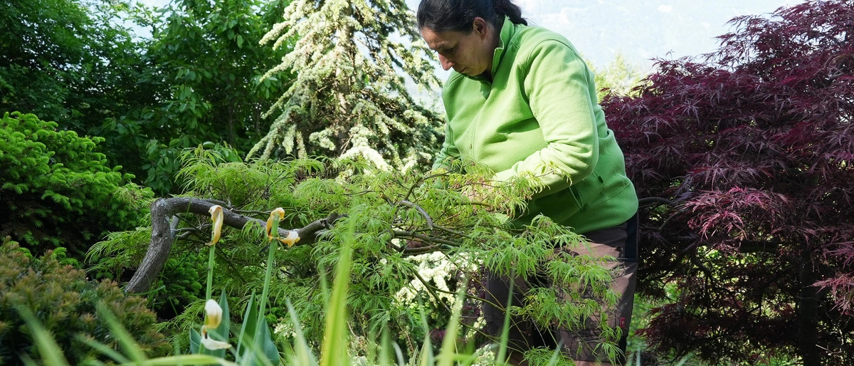 „Harmonie im Garten“-Gestalterin bei der Arbeit. „Die Relevanz der Gartens ist bei den Menschen angekommen“