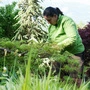 „Harmonie im Garten“-Gestalterin bei der Arbeit. „Die Relevanz der Gartens ist bei den Menschen angekommen“