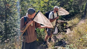 Die Forscher Emanuel Kern und Thomas Oswald blicken in ihre Kescher auf der Suche nach Insekten