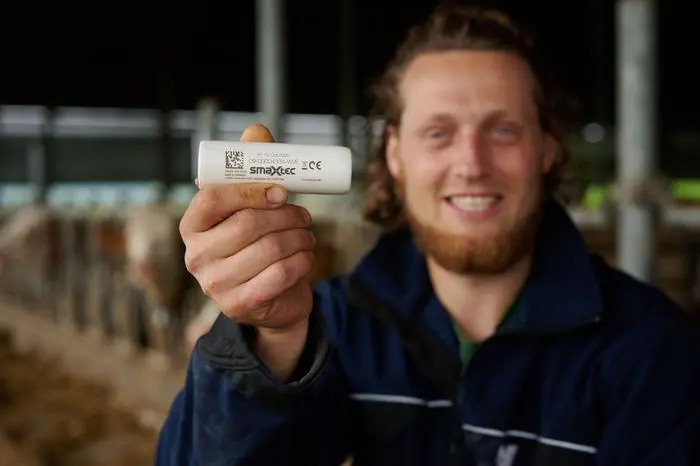 smaXtec-Sensor: der „In-Vivo-Bolus“