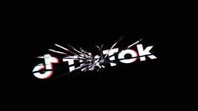 TikTok wurde 2016 ins Leben gerufen 