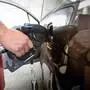 Tanken wurde infolge des Iran-Kriegs wieder deutlich teurer 