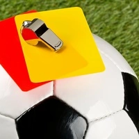 Auch wenn eigentlich das Publikum die rote Karte verdient: Die Handlungen der Fans werden häufig ihrem Verein zugerechnet 